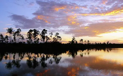 Everglades National Park full-day adventure tour with dry hike