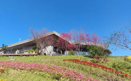 Pinglin Tea Culture and Maokong Day Tour from Taipei