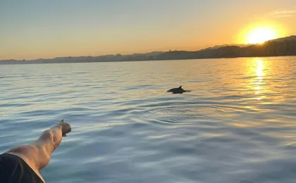 Sunset boat tour with complimentary drink in Fuengirola