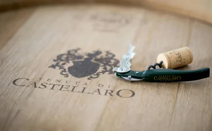 Guided Vineyard Tour and Wine Tasting on Lipari Island