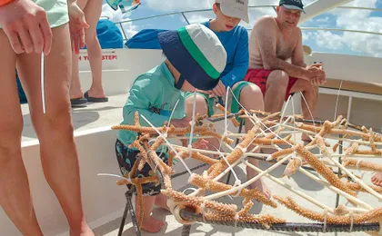 Punta Cana coral reef restoration and snorkelling experience