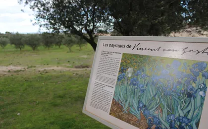 In the Footsteps of Van Gogh in Provence from Avignon