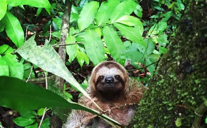 Hacienda Baru Wildlife Nature Tour from Manuel Antonio