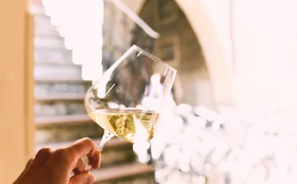 Bolzano wine experience with a professional sommelier