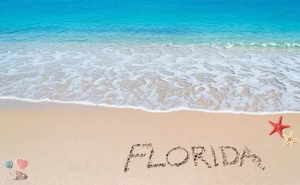Port Everglades Private Transfer from Las Olas Beach Area