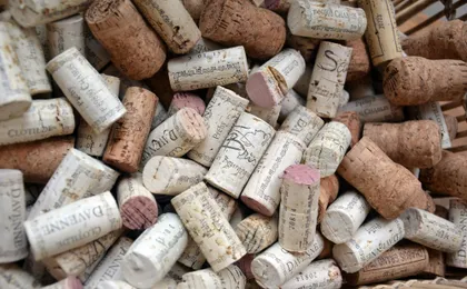 Chablis tasting at Domaine Clotilde Davenne