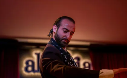 1-hour flamenco show at Malaga's Alegría