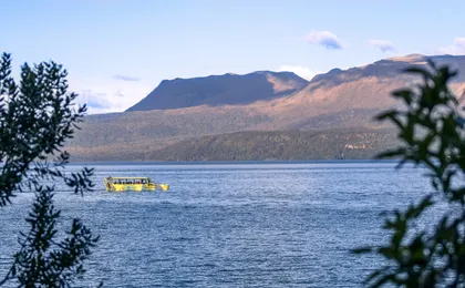 Tarawera and lakes eco tour