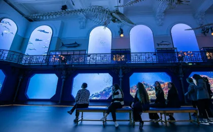 Skip-the-line tickets for Monaco Oceanographic Museum