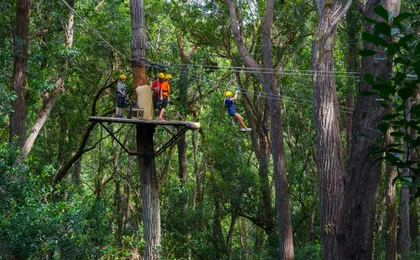 Kohala zipline canopy adventure