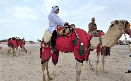 Combo Culture & Adventure: North Qatar Heritage & Desert Safari