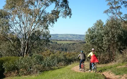 Full-day McLaren Vale bike and wine tour