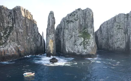 Tasman Island Cruises full day tour from Hobart with Devil Park visit