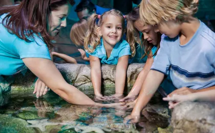 SEA LIFE Manchester entrance tickets