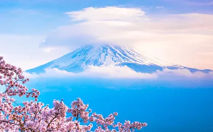 1-day tour to Mount Fuji, Oshino Hakkai with outlets or hot springs