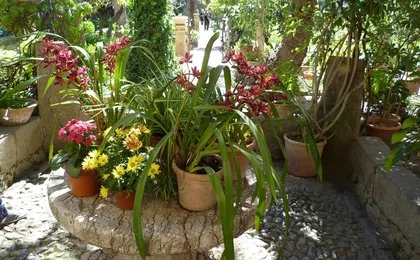Majorca countryside voyage of discovery