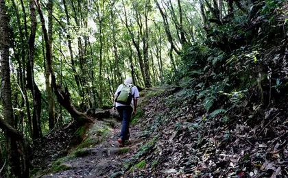 Godavari to Fulchoki Day Hike Near Kathmandu