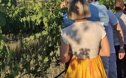 Winery of Assisi guided tasting with 5 wines and lunch