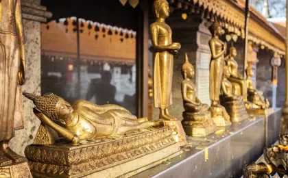 Doi Suthep  and Wat Pha Lat temples hiking tour