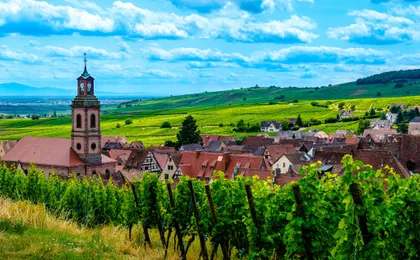 Alsace full-day shared wine tour from Colmar