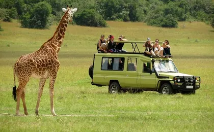 4-Day Tanzania Camping Safari to Lake Manyara, Serengeti, and Ngorongoro Crater
