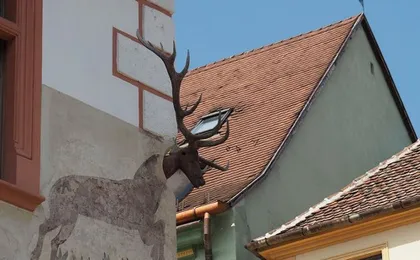 Tour to Sighisoara, Rupea Fortress and Viscri from Brasov
