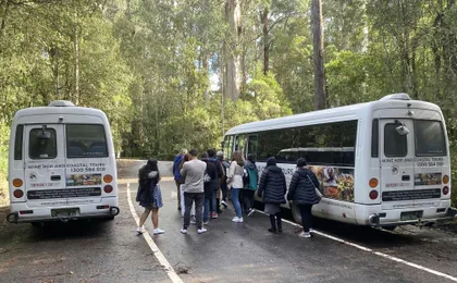 Great Ocean Road bus tour with a forest walk