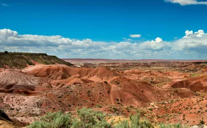 Self-guided driving audio tour of the Petrified Forest National Park