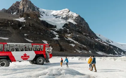 Columbia Icefield and Peyto Lake day tour from Banff