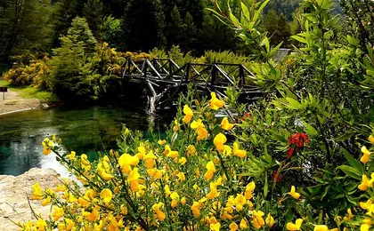 San Martin de los Andes and 7 Lakes tour