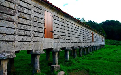 Finisterre and Coast of Death full-day tour from Santiago