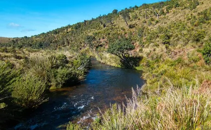 Horton Plains Tour From Nuwara Eliya