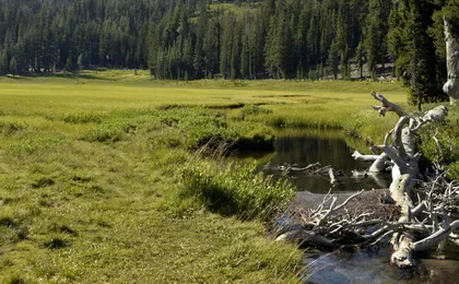 Lassen Volcanic National Park Self-Guided Driving Tour