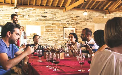 Full-day wine tour of Douro Valley