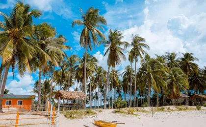 Grand Bahama tour with optional Pig Beach visit