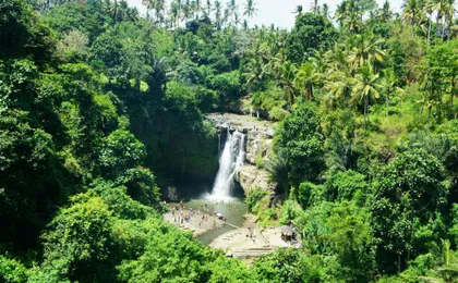 Surface of Ubud private full-day tour
