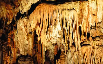 Predjama Castle Predjama Castle and Postojna Caves Tour Postojna Caves Tour