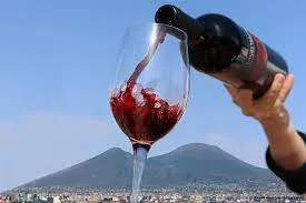 Wine tasting tour on the slopes of Vesuvius
