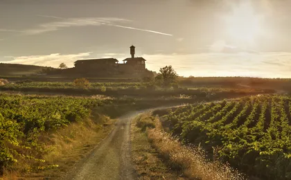Two wine cellars visit and tasting in La Rioja