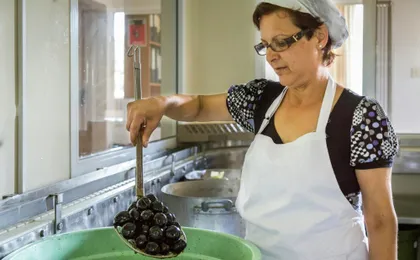 Mountain villages with lunch and honey-tasting from Ayia Napa and Protaras