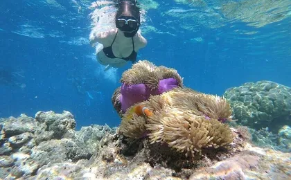 Dahab Day Tour And Snorkeling And Canyon And ATV Quad Biking