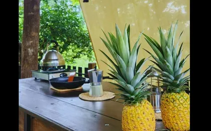 Costa Rica flavours and nature experience