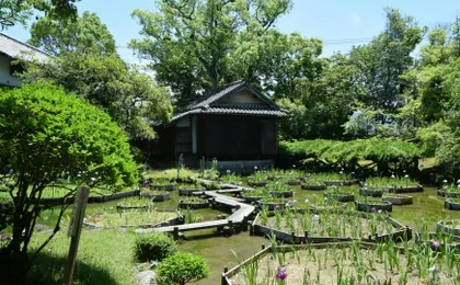 Yatsushiro private tour with Yatsushiro Shrine and Shohinken