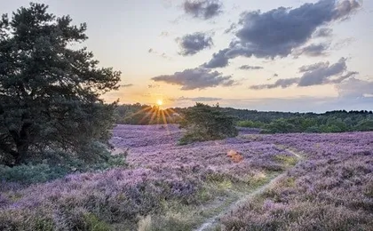 Self-guided interactive nature trail of Landgraaf
