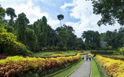 Kandy day tour by train