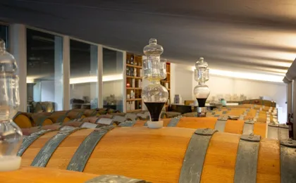 Guided wine tasting tour in San Valentino vineyards