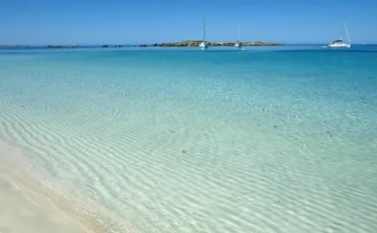 Catamaran Ibiza Day