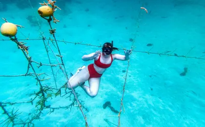 Punta Cana coral reef restoration and snorkelling experience