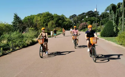 3-hour electric bike tour of Lyon