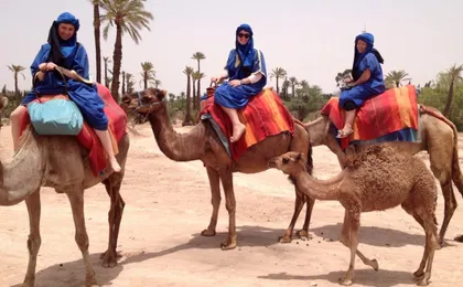Camel ride in Marrakech Palm Grove